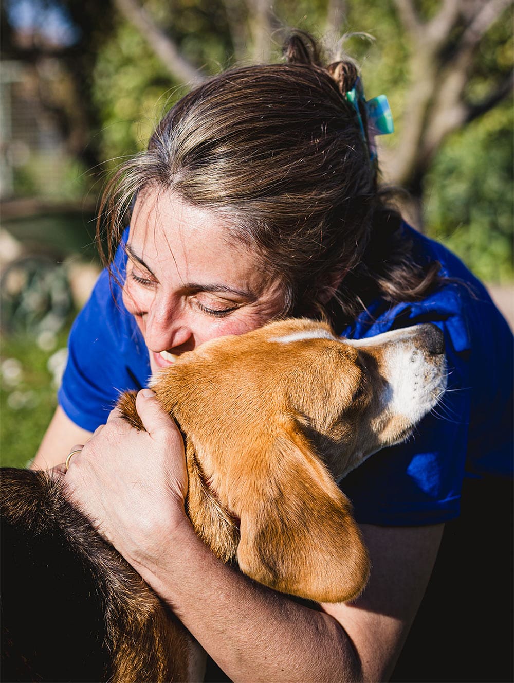 amoureux des chiens